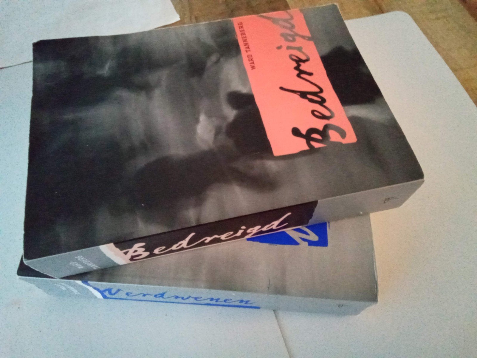 2 Thrillers van Schrijver ( Ward Tanneberg, Ophalen of Verzenden, Zo goed als nieuw