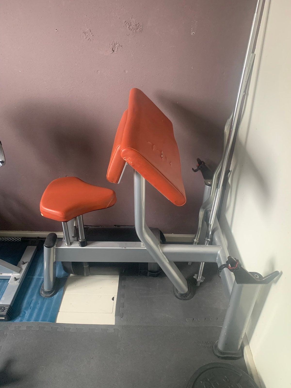 Biceps Curl Bank met haltersteun, Ophalen, Gebruikt, Krachtstation, Armen