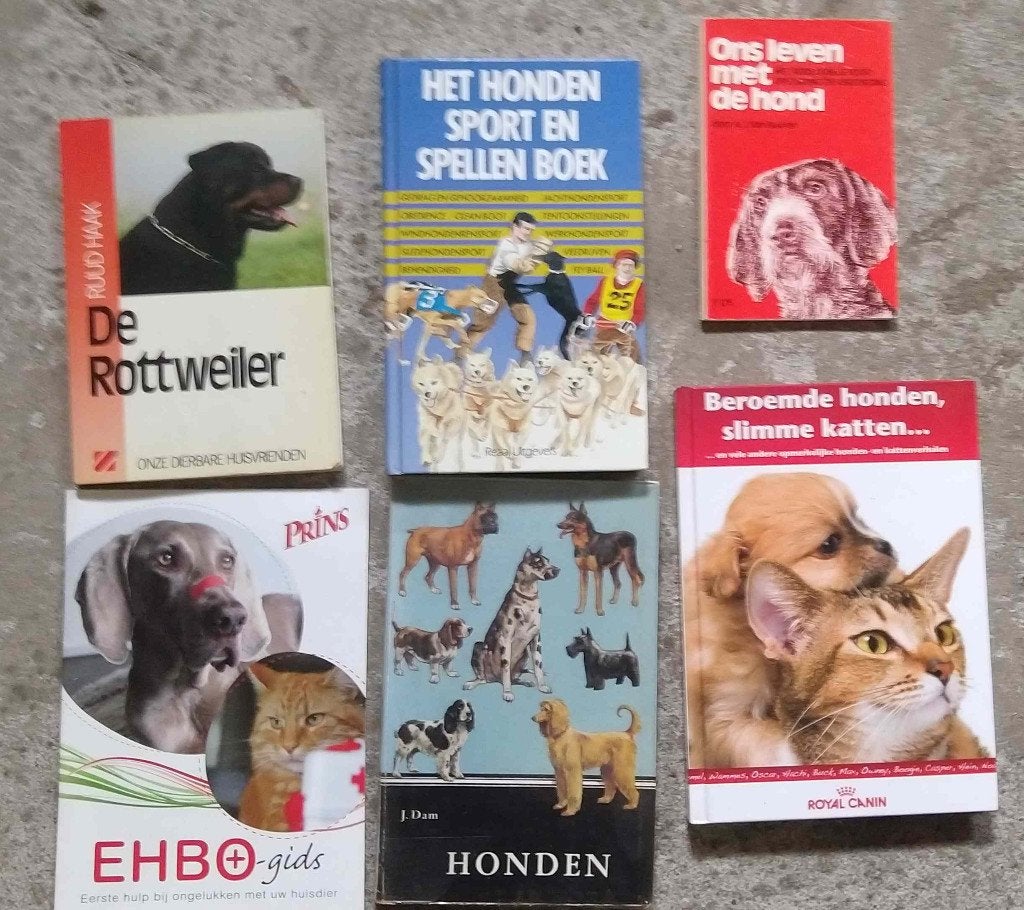Boeken over honden boek hond , ook DVD en poster op hout, Ophalen of Verzenden, Zo goed als nieuw, Honden