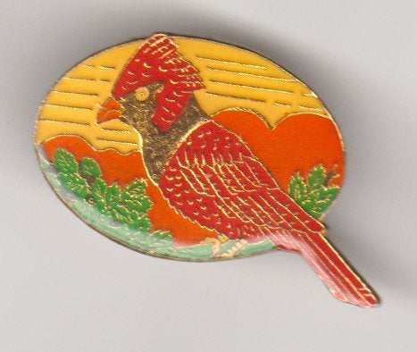 Vintage vogel pin. mogelijk kievit, Verzamelen, Verzenden, Zo goed als nieuw