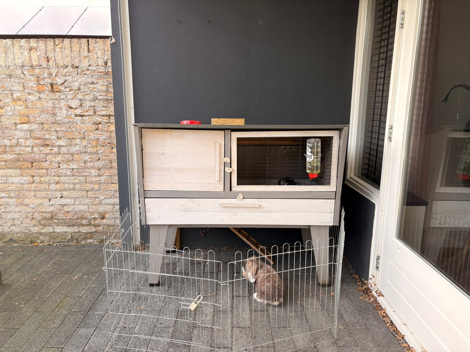 Konijnenhok, schoon. ZSM ophalen (exclusief ren), Ophalen, 60 tot 90 cm, Konijn, Hok