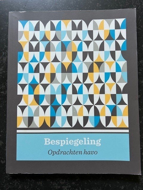 Bespiegeling Havo Kunstgeschiedenis NEW! Groenendijk, Groenendijk, Ophalen of Verzenden, Maatschappijleer, HAVO