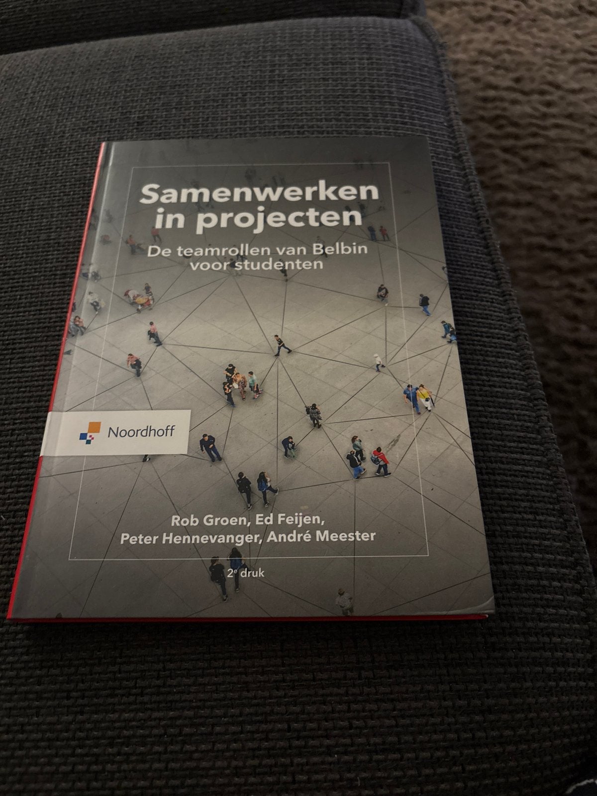 Samenwerken in projecten - De teamrollen van Belbin, Ophalen of Verzenden, Nieuw, LBO