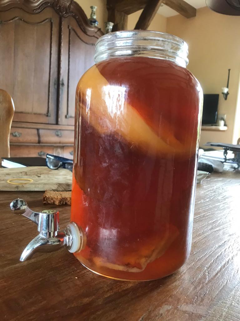 Gratis af te halen Kombucha zwam, Ophalen