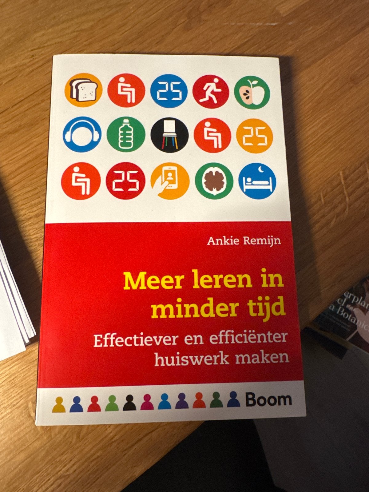 Meer leren in minder tijd - Ankie Remijn (Zo goed als nieuw), Computers en Software, Educatie- en Cursussoftware, Ophalen of Verzenden