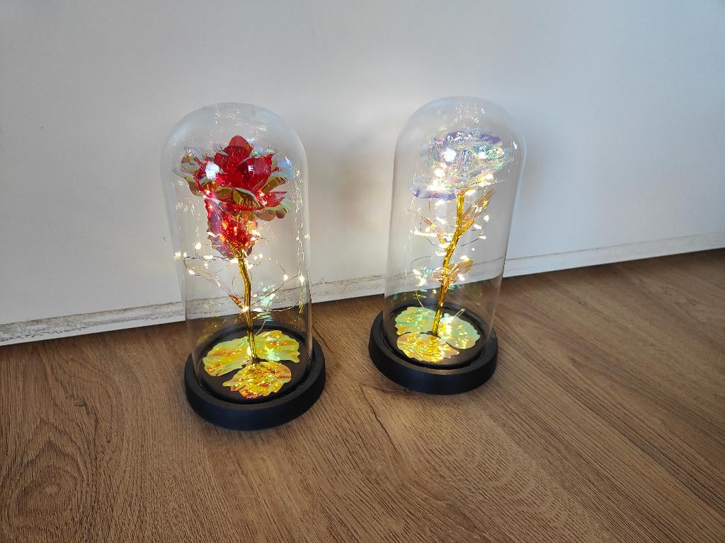 Roos met verlichting in stolp, Huis en Inrichting, Woonaccessoires | Stolpen, Ophalen, Zo goed als nieuw