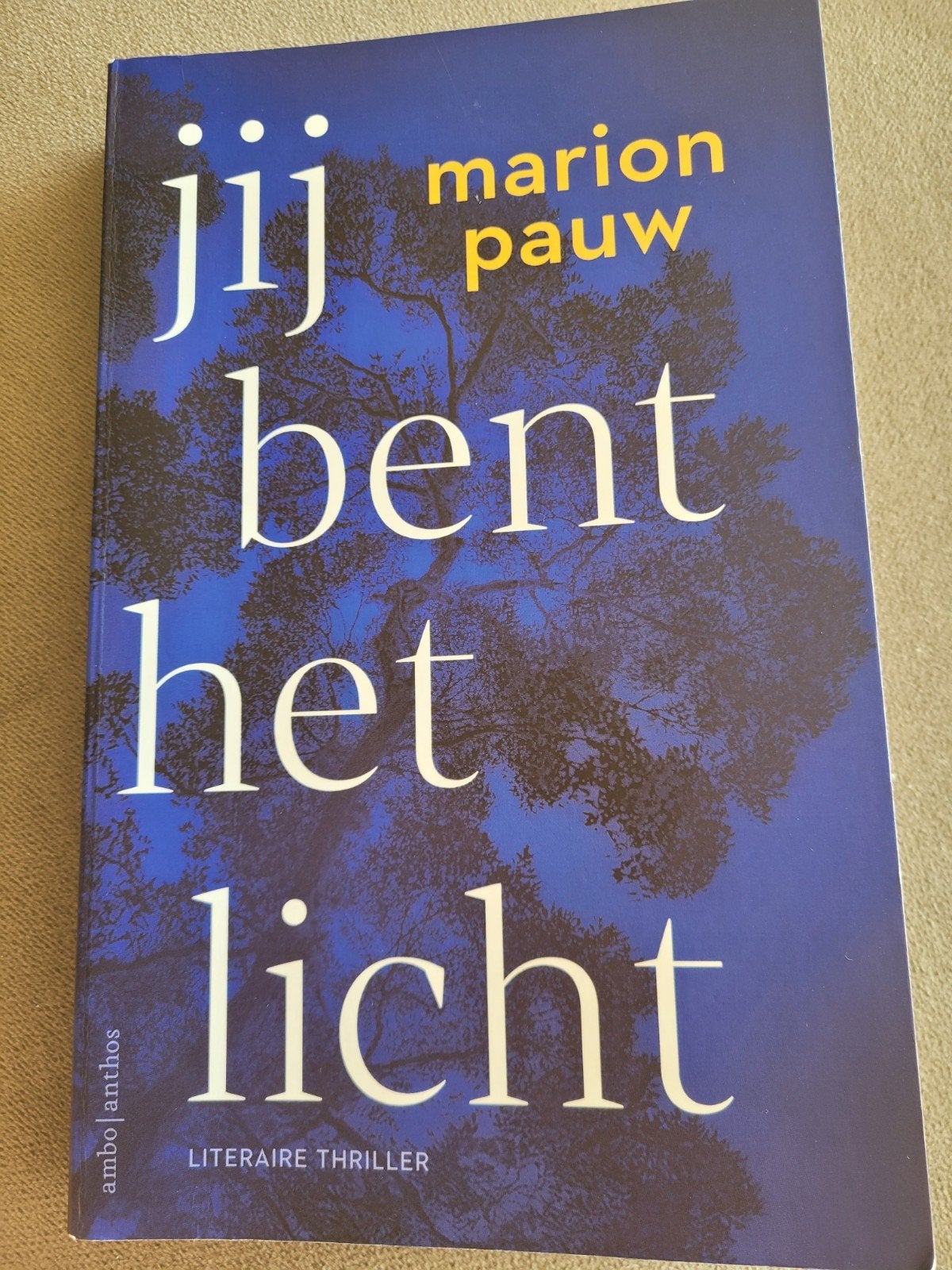 Jij bent het licht - Marion Pauw (Literaire thriller), Ophalen, Zo goed als nieuw, Marion Pauw