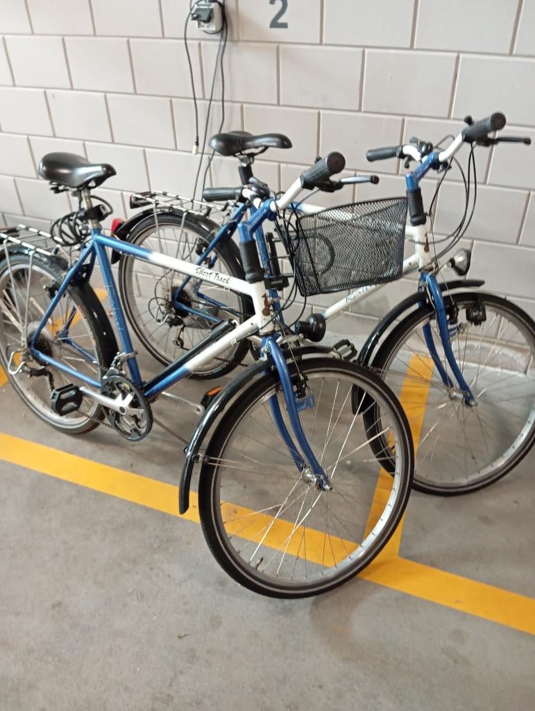 Raleigh fietsen/Vintage, Fietsen en Brommers, Gebruikt, 10 tot 15 versnellingen, Overige maten, Ophalen
