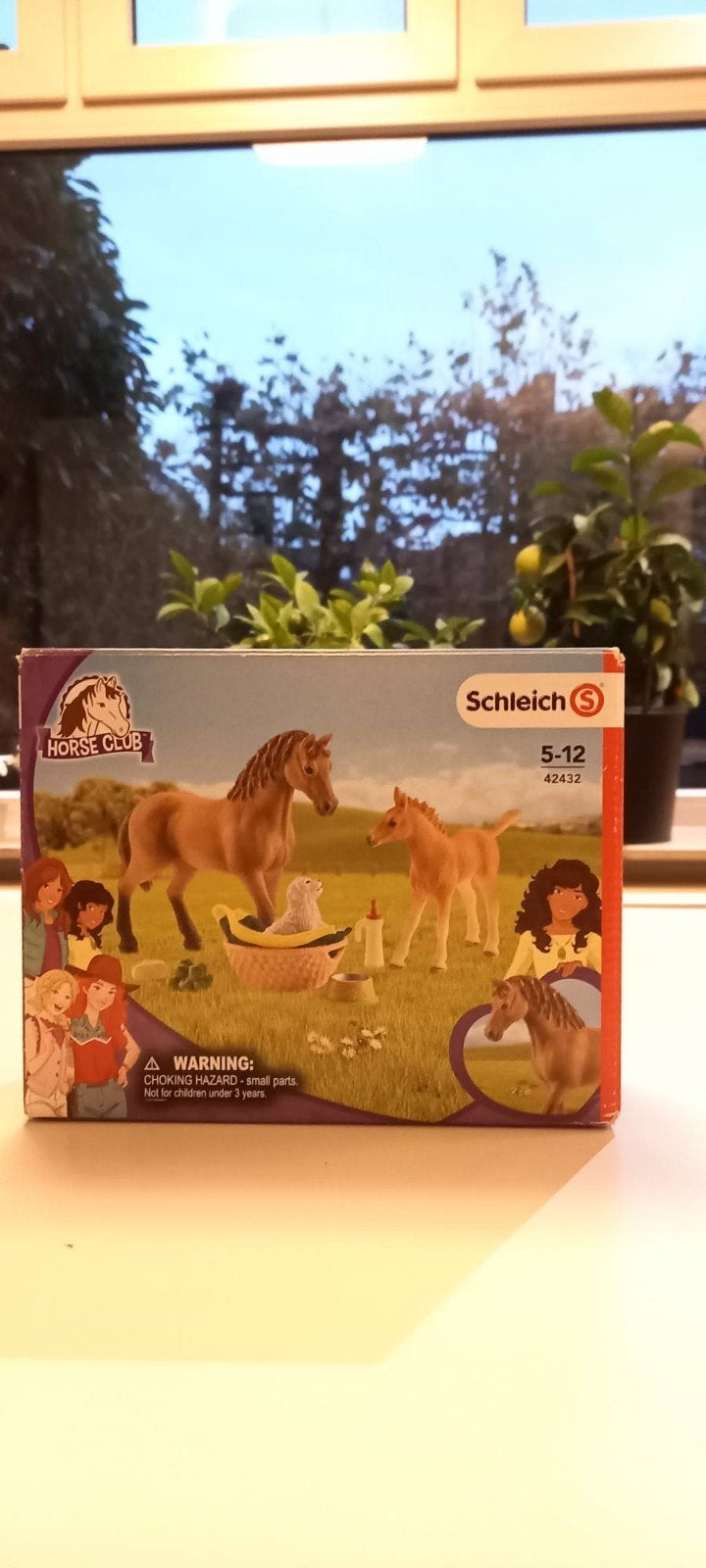 Schleich  Jonge dieren verzorging set (42432), Ophalen, Zo goed als nieuw, Jongen of Meisje