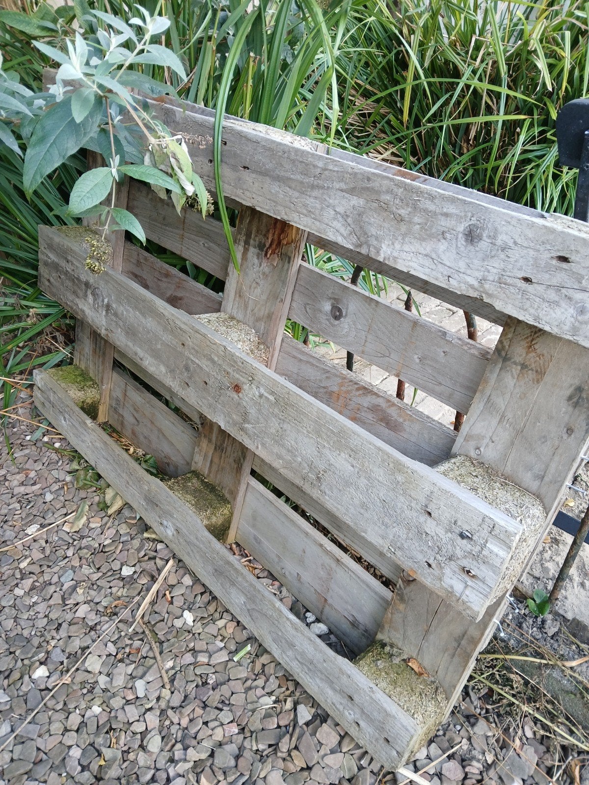 GRATIS Gebruikt houten pallet voor diverse doeleinden, Ophalen, Gebruikt, 50 mm of meer, Pallet