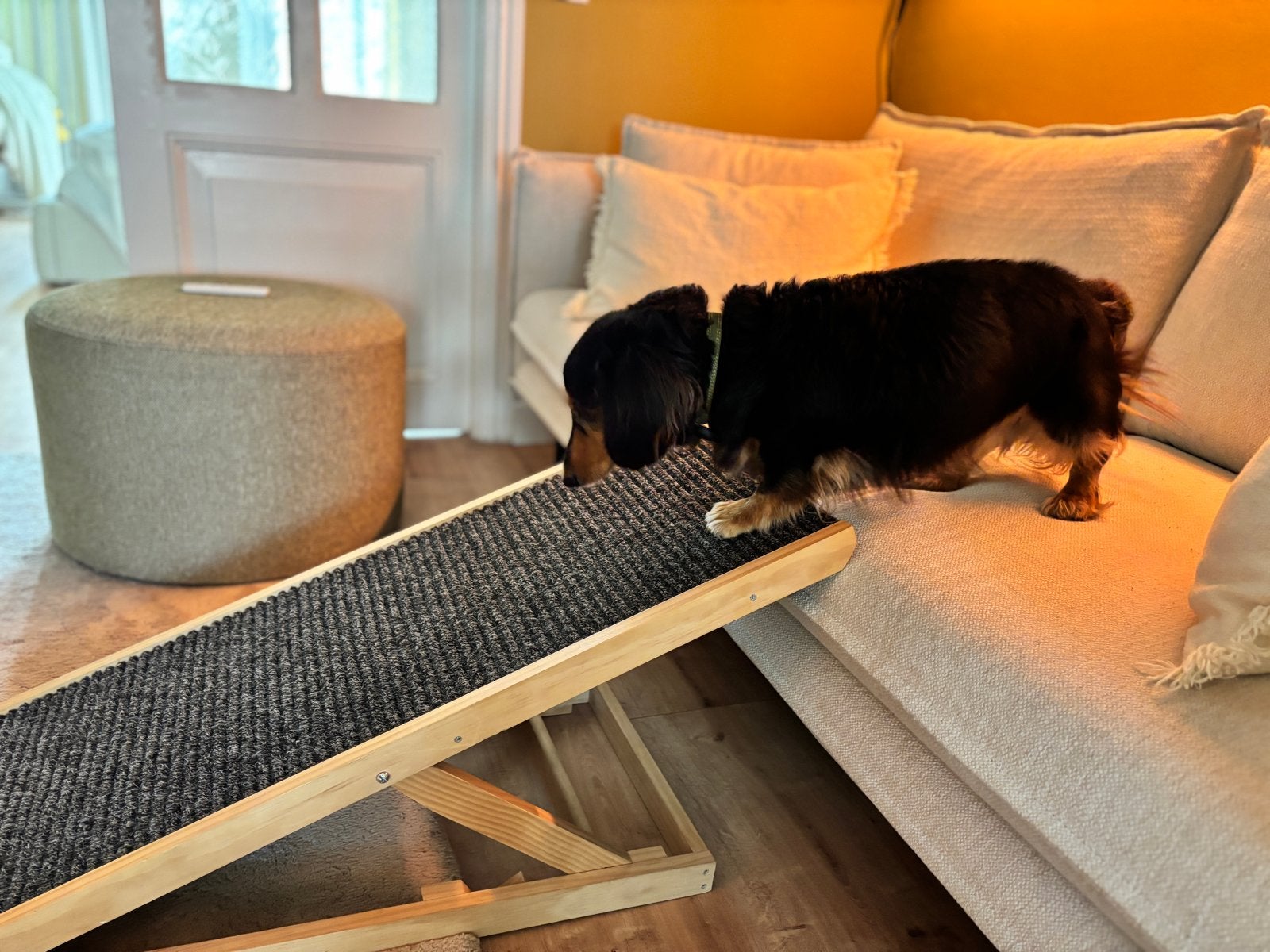 Adjustable dog ramp for small dogs, Ophalen, Nieuw