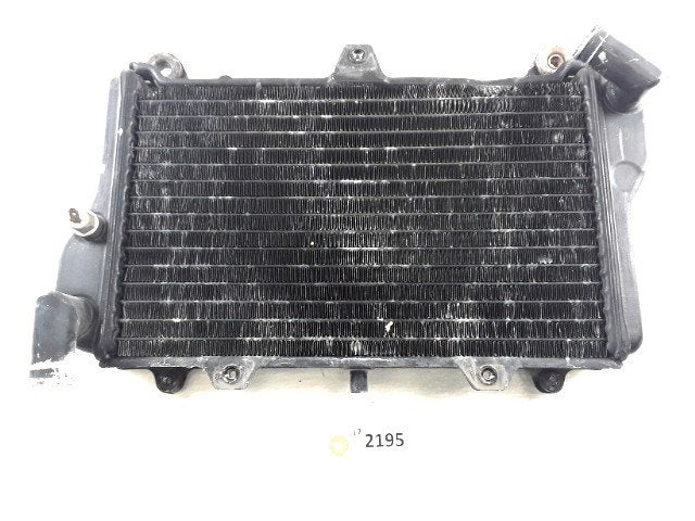 Radiator D1-37877