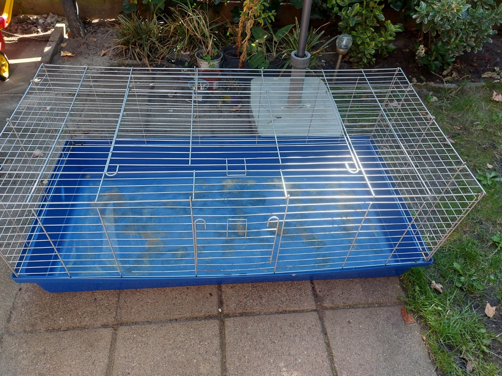 Cavia hok, Dieren en Toebehoren, Hok, Cavia, Ophalen, Minder dan 60 cm