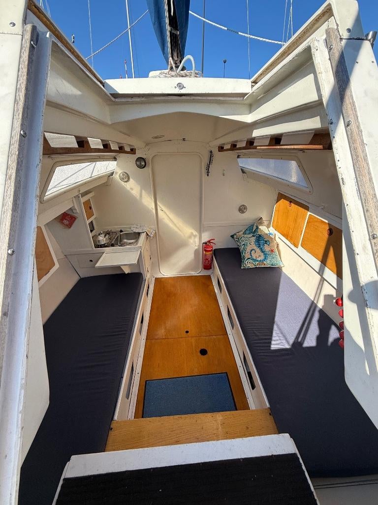 Balaton 24 | Zeilklaar | Veel nieuw | Vetus | Solo Zeilboot, Ophalen, Gebruikt, Diesel, Tourjacht of Cruiser