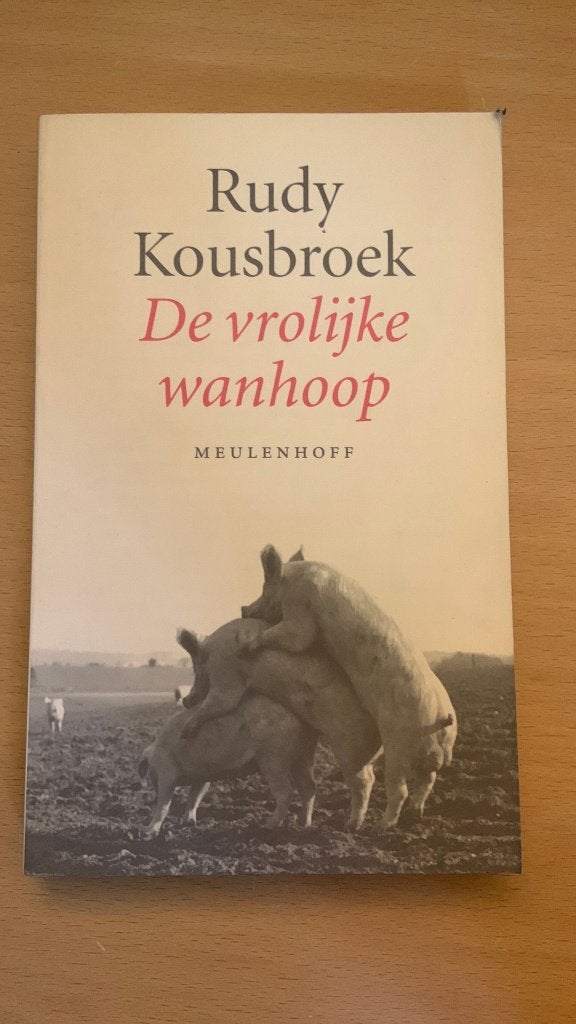 Rudy Kousbroek - De vrolijke wanhoop, Ophalen of Verzenden