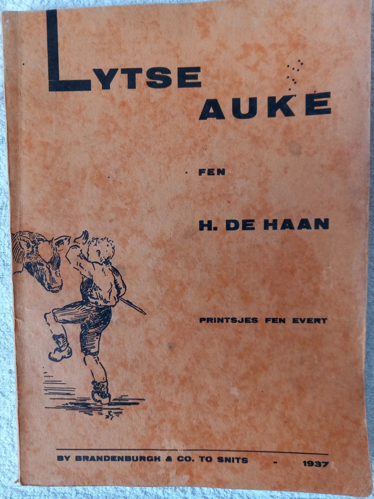 Lytse Auke - H. de Haan (1937), Ophalen of Verzenden