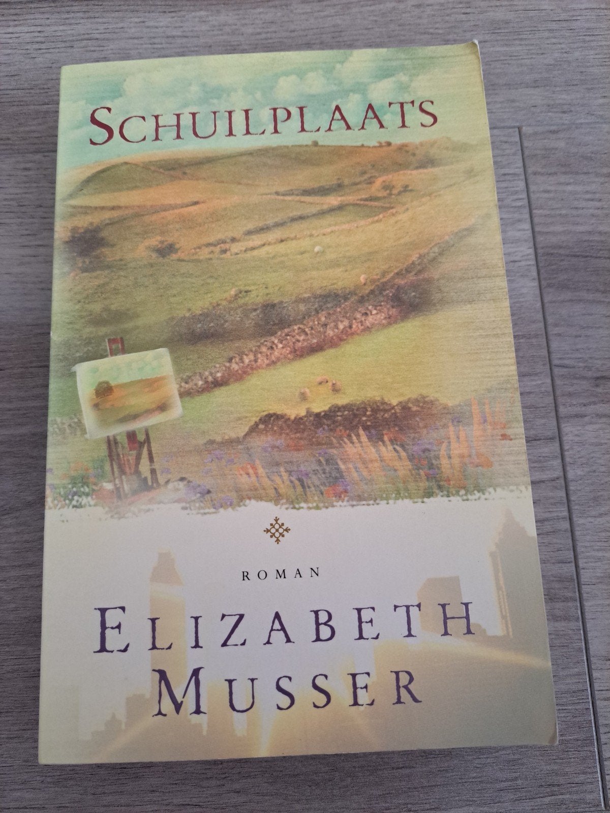 Schuilplaats - Elizabeth Musser Roman, Boeken, Ophalen of Verzenden, Gelezen, Elizabeth Musser, Nederland