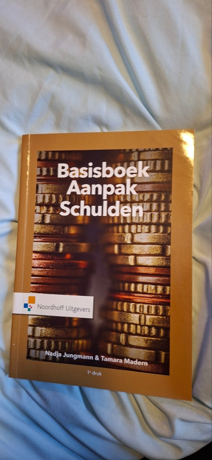 Basisboek Aanpak Schulden - Nadja Jungmann & Tamara Madern, Boeken, Studieboeken en Cursussen, Nadja Jungmann & Tamara Madern