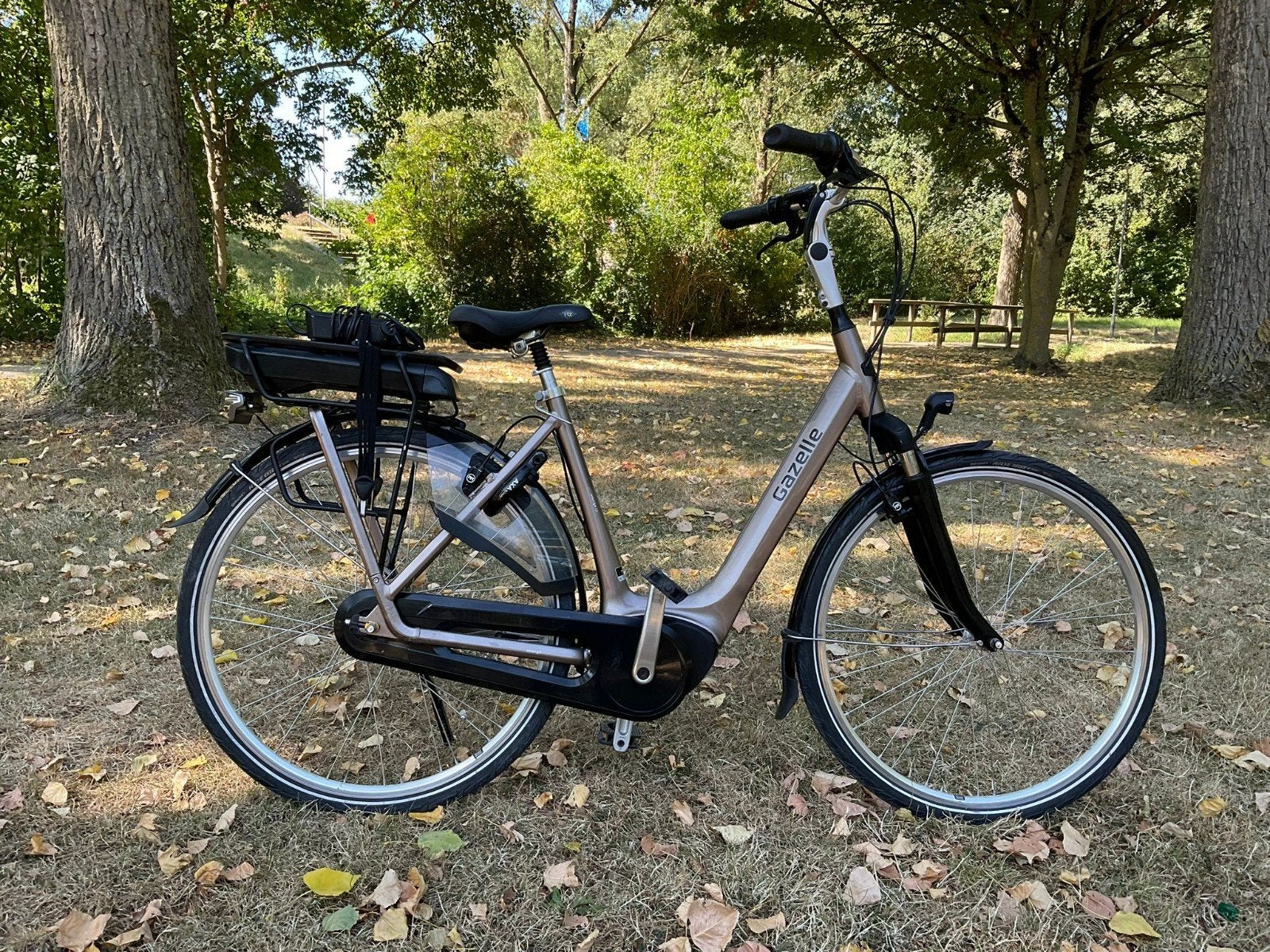 Gazelle Orange C7 electrische damesfiets 
maat 53
Bosch Acti, 51 tot 55 cm, Ophalen of Verzenden, Gebruikt, Overige merken
