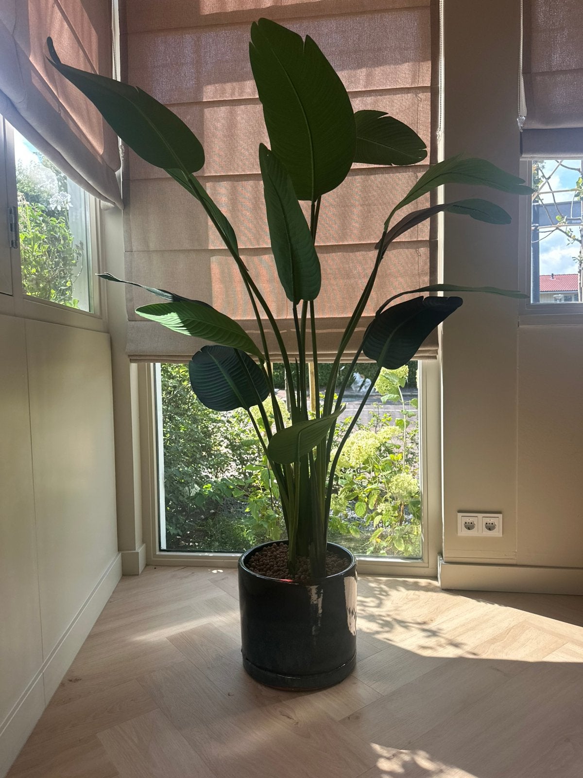 Mooie kunstplant te koop, Huis en Inrichting, Ophalen, Halfschaduw, 150 tot 200 cm