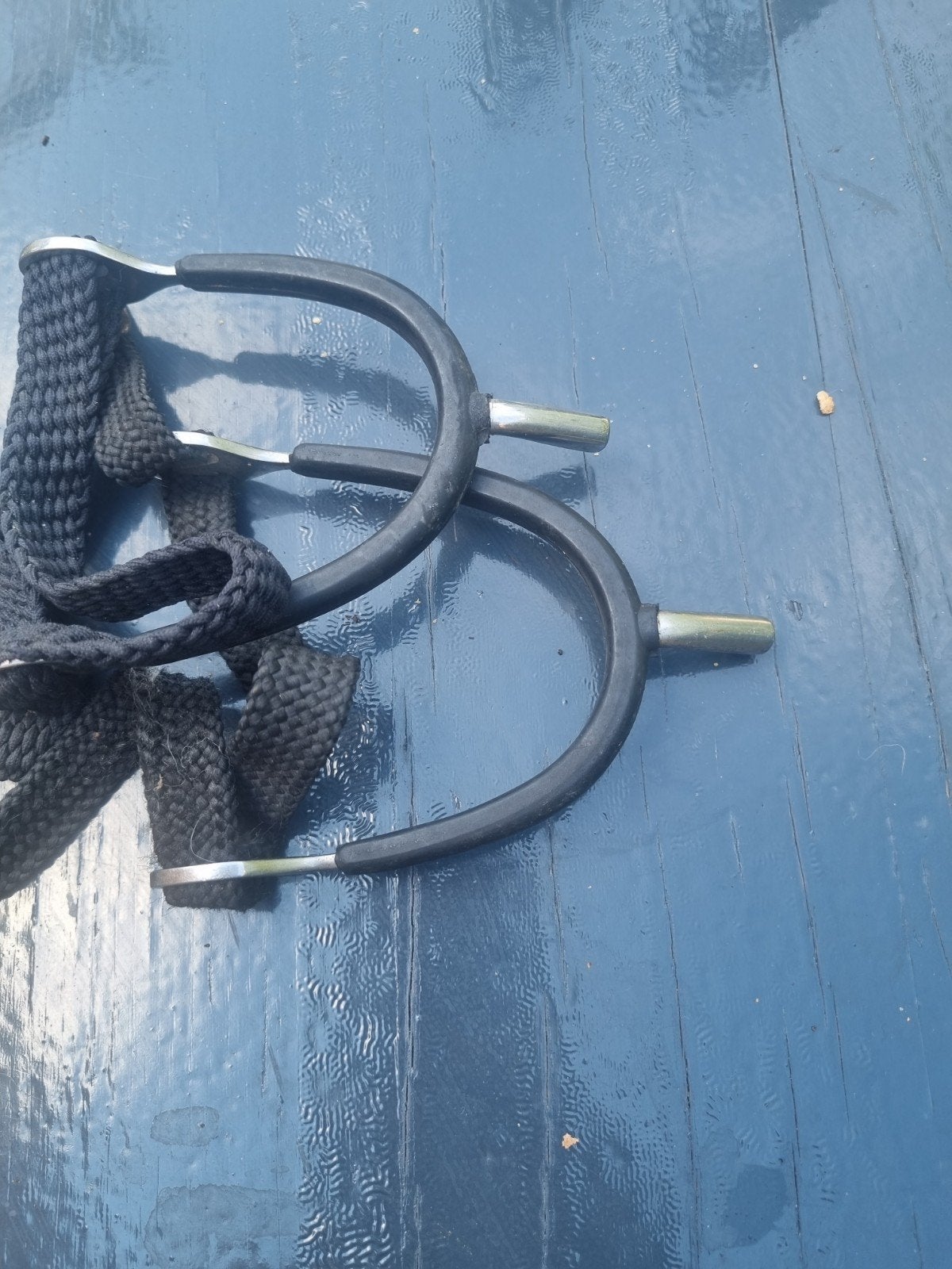 Sporen, Dieren en Toebehoren, Ophalen of Verzenden