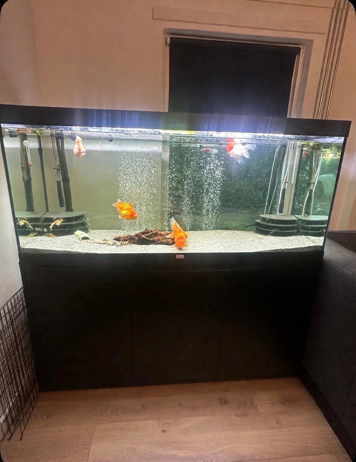 Aquarium met toebehoren, Ophalen, Zo goed als nieuw, Leeg aquarium, Aquatlantis