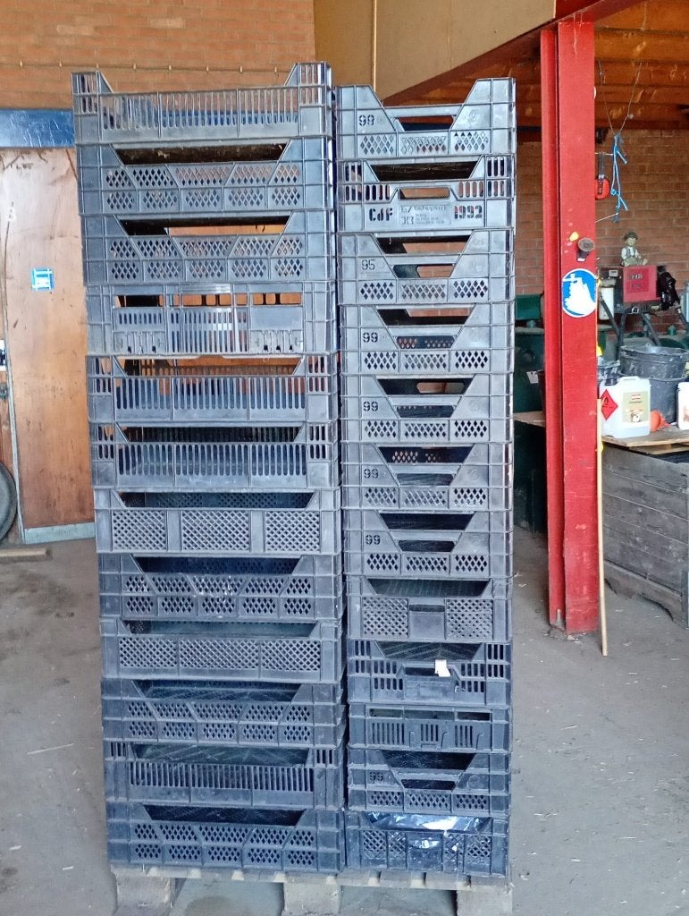 70 plastic kratten 40-60-15cm, Gebruikt, 40 tot 60 cm, 50 tot 75 cm, Minder dan 35 cm