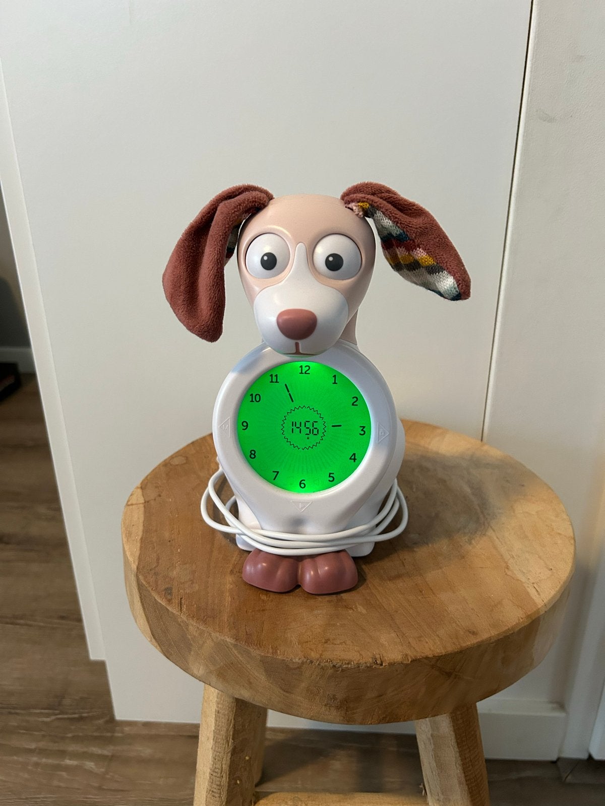 Zazu Davy de hond slaaptrainer, Ophalen of Verzenden, Gebruikt, Digitaal
