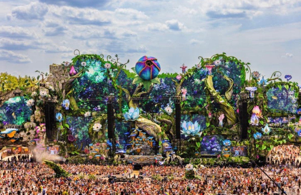 Tomorrowland friday W1, Eén persoon, Ticket of Toegangskaart