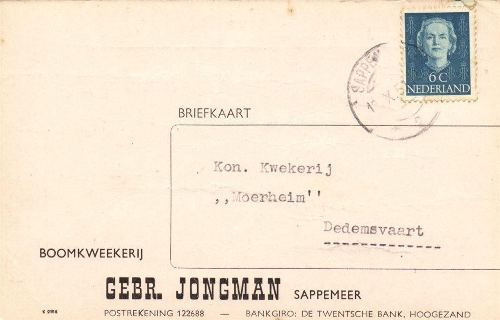 Gebr. Jongman Sappemeer - 10.1951 - briefkaart, Ophalen of Verzenden, Briefkaart