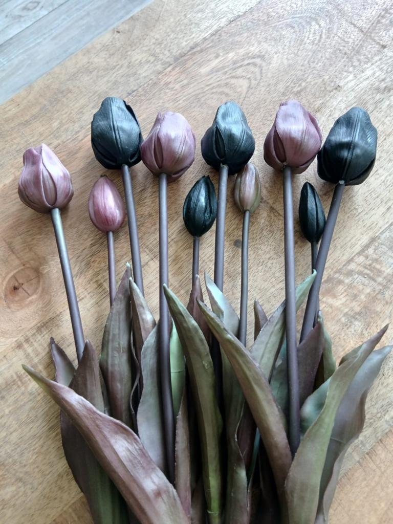 Tulpen, Ophalen, Binnen, 47 cm, Zo goed als nieuw
