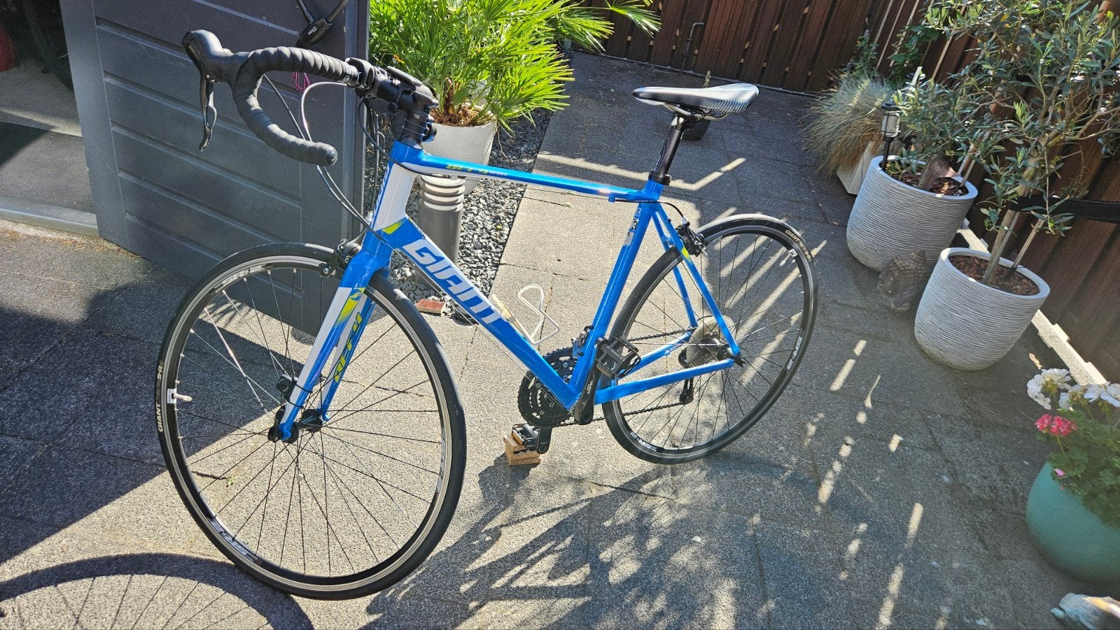 Giant Defy Aluxx Racefiets met carbon voorvork, Ophalen, Velgrem, Aluminium, Giant