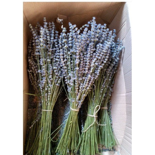 Gedroogde lavendel boeketten*van juli 2026. Heerlijk geurend, Tuin en Terras, Planten | Tuinplanten, Ophalen of Verzenden, Eenjarig