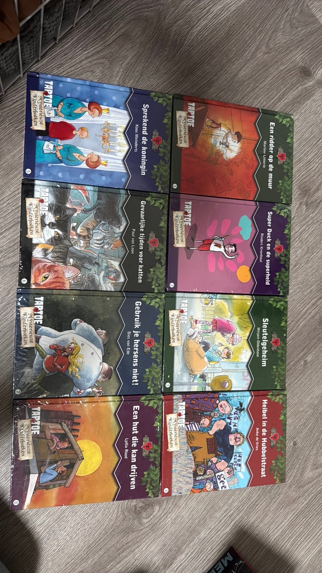 Martine Letterie - Ridder op de muur, Martine Letterie, Fictie algemeen, Ophalen of Verzenden, Zo goed als nieuw