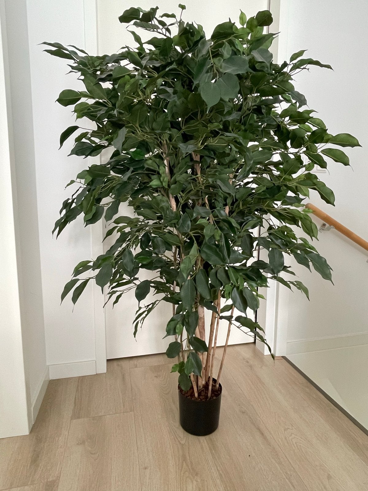 Grote Kunst Ficus Plant - Groen, Ophalen, Binnen, Groen, Kunstplant