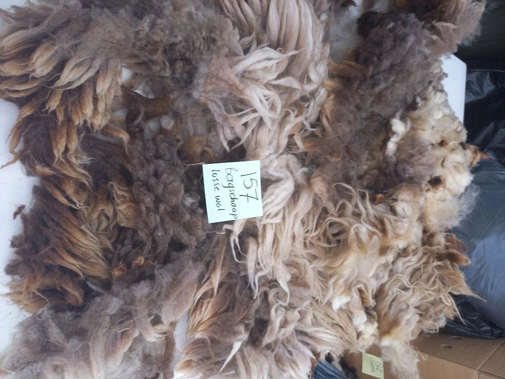 nr 157 Losse wol van Bergschaap - Diverse kleuren, Ophalen of Verzenden, Nieuw