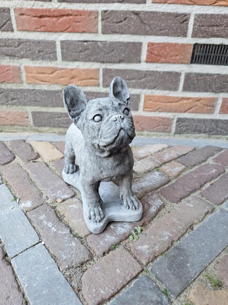Franse Buldog Betonbeeld, Ophalen, Nieuw, Beton, Dierenbeeld