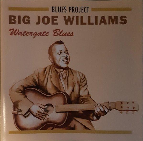 CD Big Joe Williams - Watergate blues, Ophalen, 1980 tot heden, Gebruikt, Blues