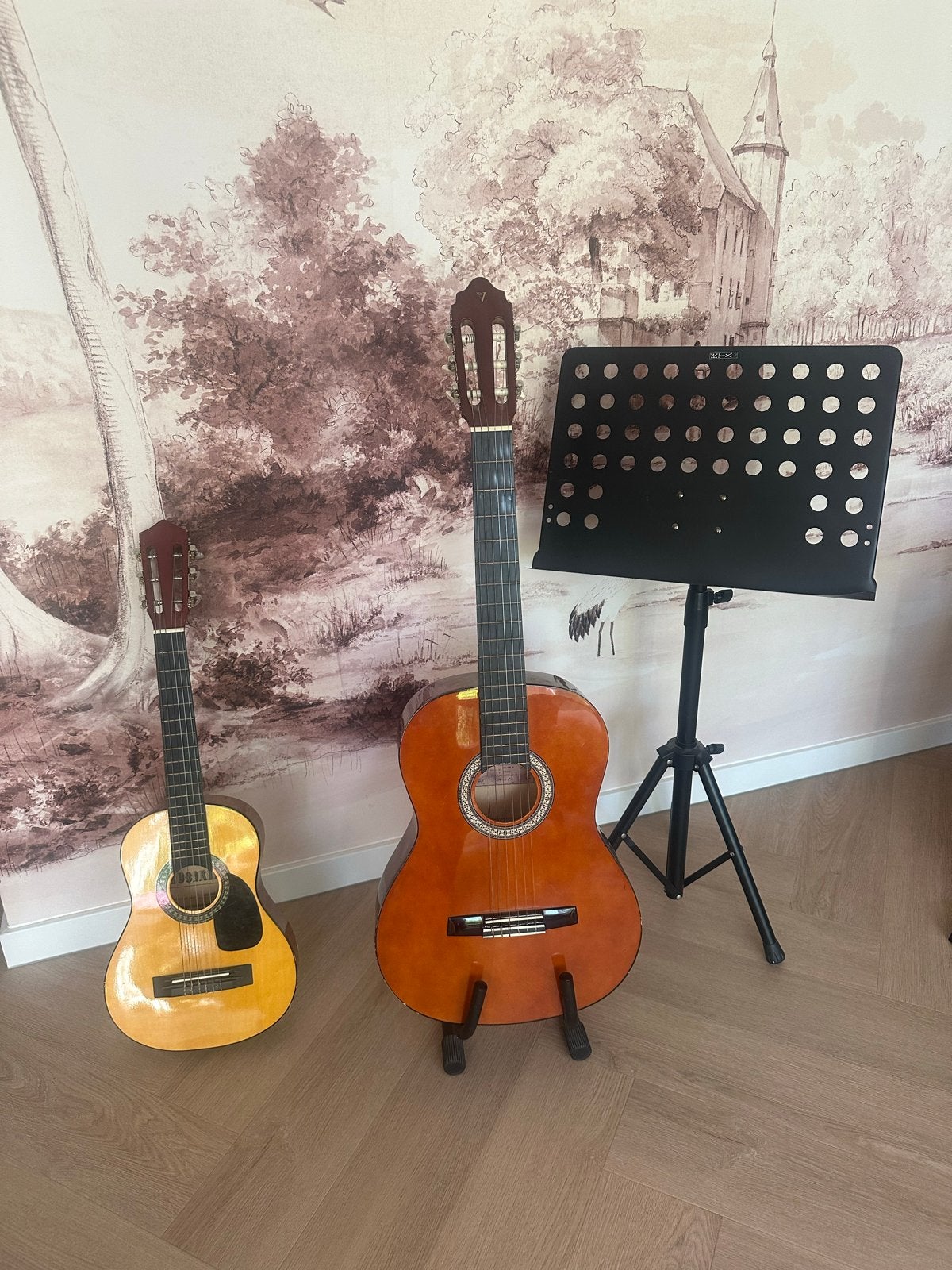 Gitaar met standaard, muziekstandaard en kleine gitaar, Ophalen, Gebruikt, Klassieke of Spaanse gitaar