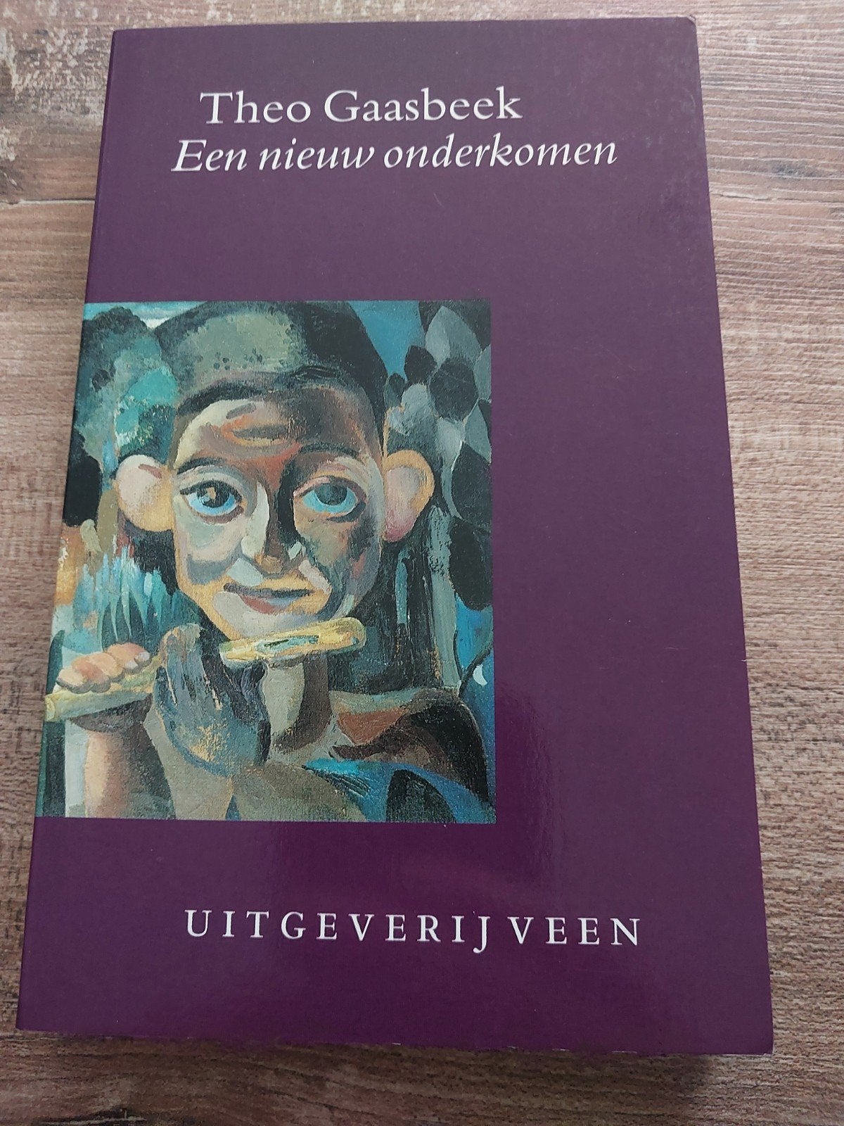 Theo Gaasbeek - Een nieuw onderkomen (Boek), Ophalen of Verzenden, Zo goed als nieuw, Theo Gaasbeek, Nederland