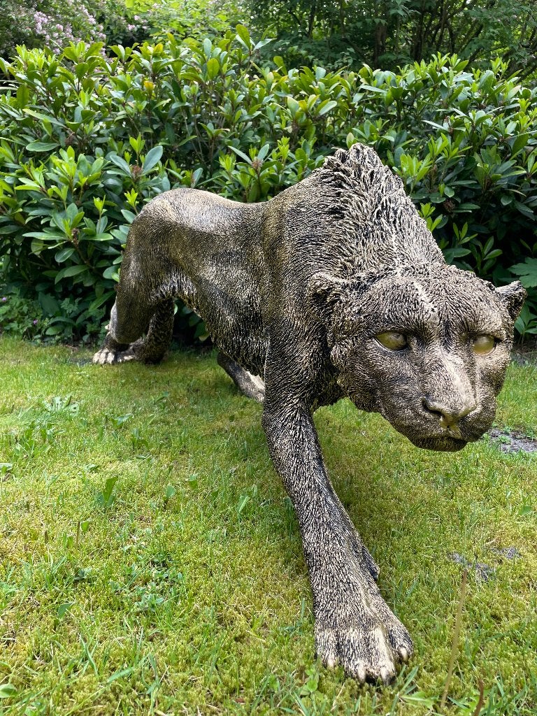 Tuinbeeld Panter sluipend gazon, tuin, dierentuin, 125 cm, Ophalen, Nieuw, Kunststof, Dierenbeeld