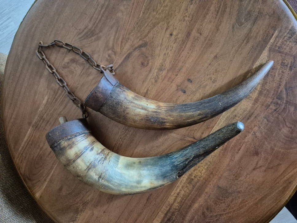 Bijzondere curiositeit 2 hoorns aan ketting BD landbouw, Ophalen of Verzenden