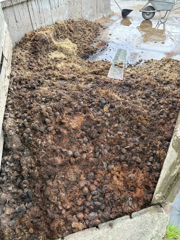 Gratis paardenmest/ compost met shovel te laden, Ophalen, Mest