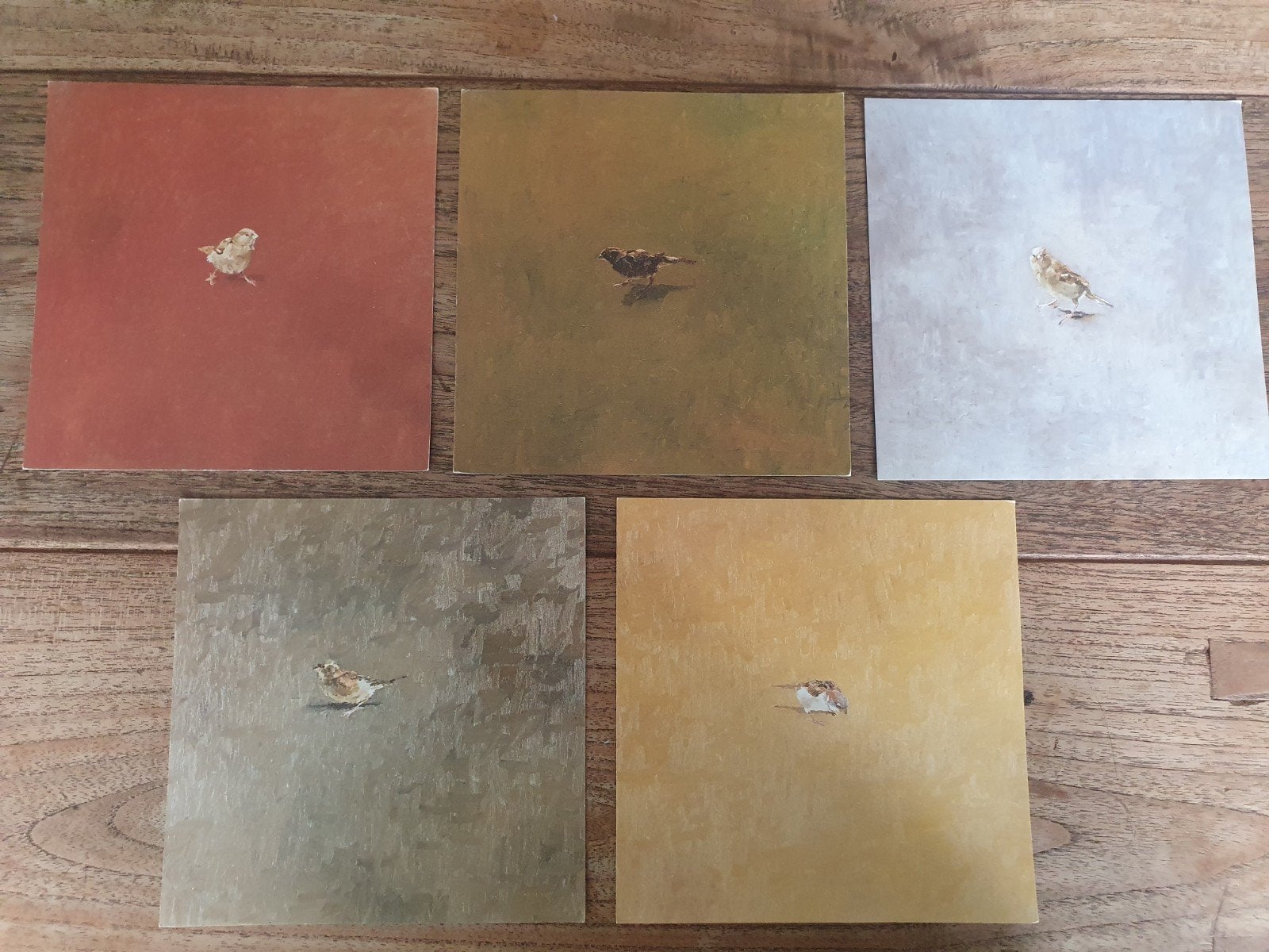 5x Kunstkaart Mussen - Ongelopen - 15x15 cm, Ophalen of Verzenden, 1980 tot heden