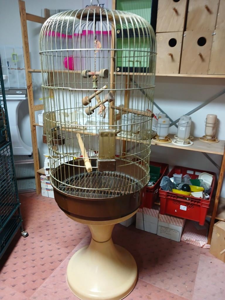Papagaaienkooi kooi, Ophalen, Hout, Vogelkooi