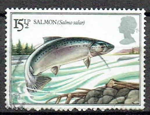 Engeland GB 1983 Vis Zalm, Verzenden, Gestempeld, Dier of Natuur