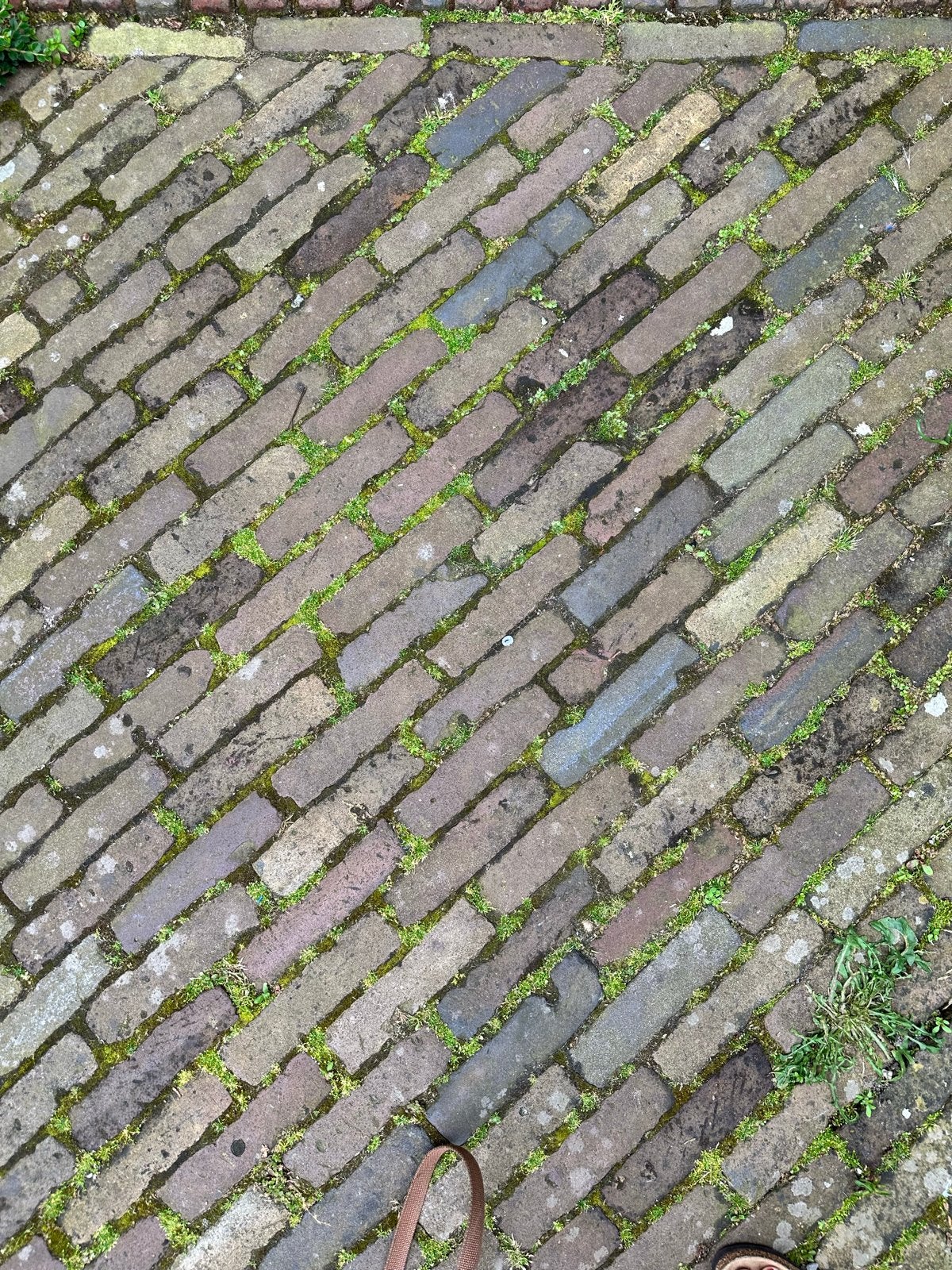 Oude gebakken waaltjes rood bruin paarstinten 15m2, Ophalen, Gebruikt, 10 m² of meer, Klinkers