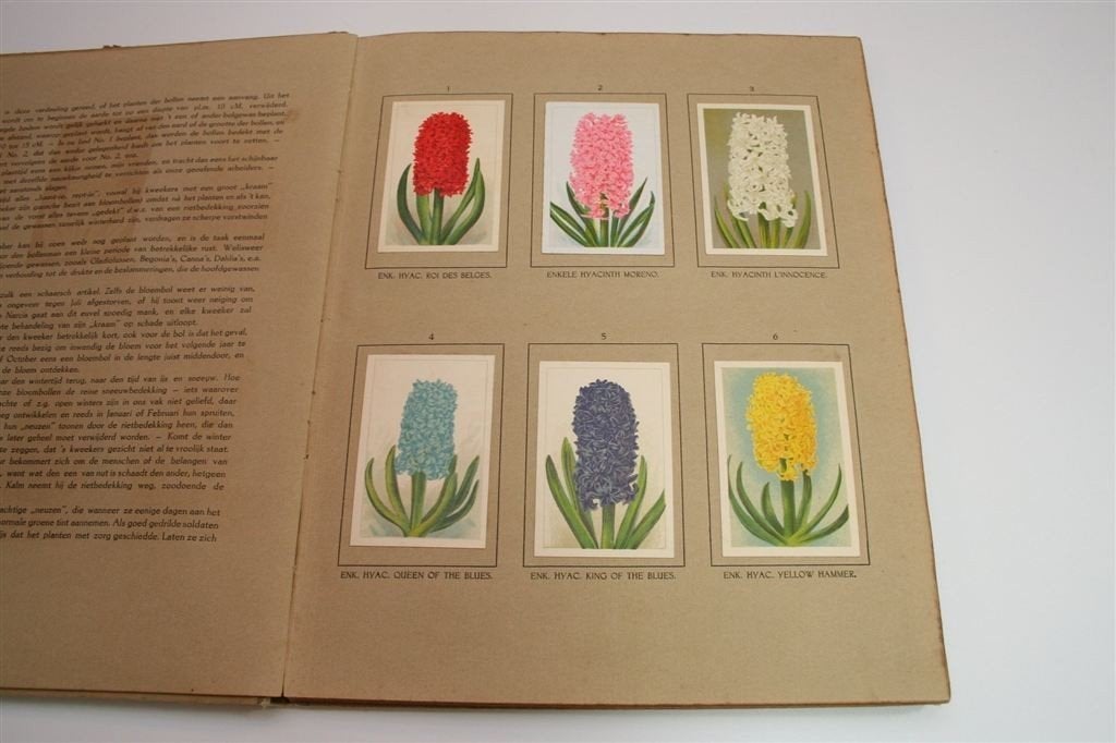 Klaverblad Album De Bloemenvelden [1918] — Compleet, Ophalen of Verzenden, Gelezen