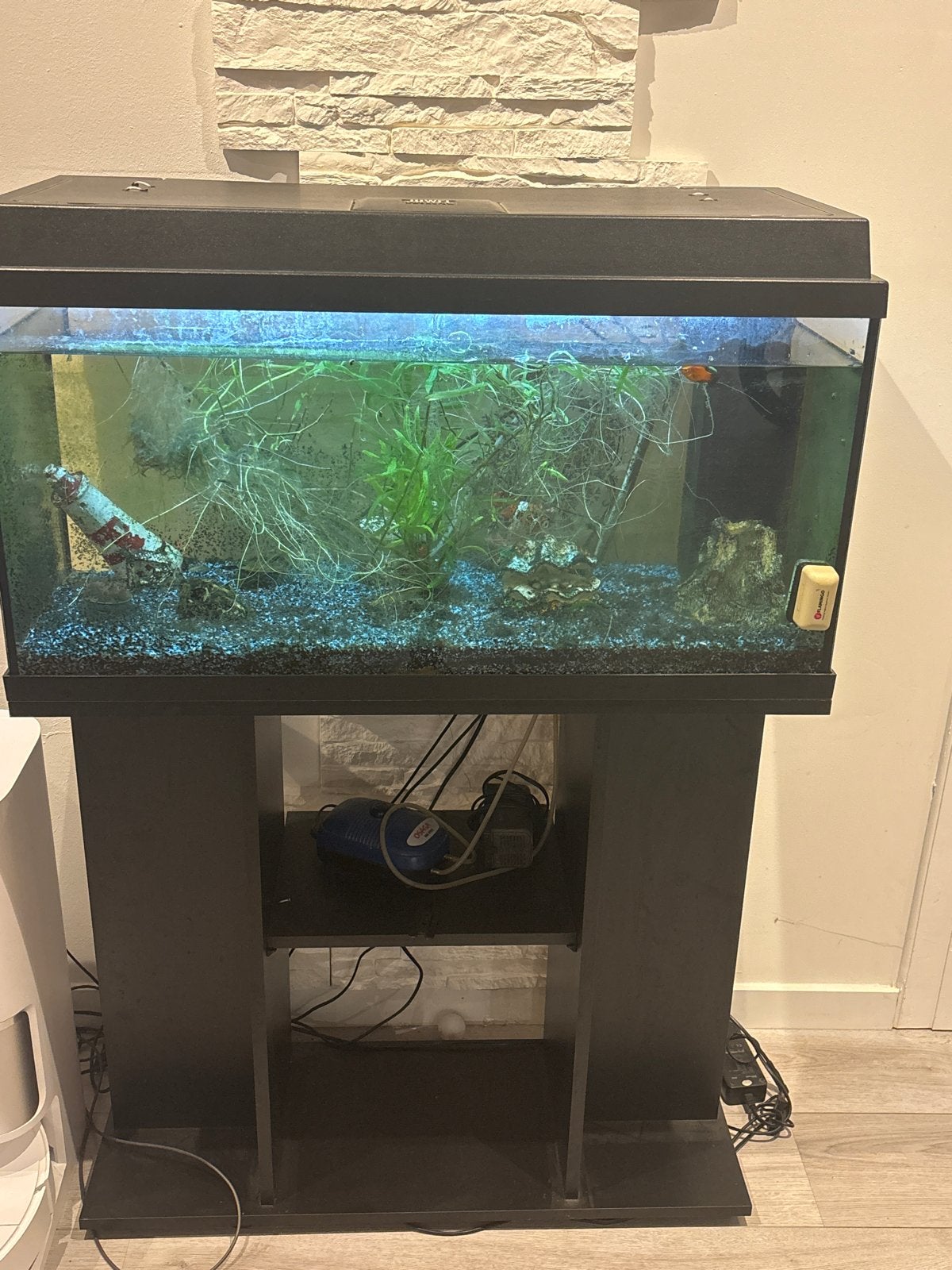 Juwel aquarim, Ophalen, Zo goed als nieuw, Gevuld zoetwateraquarium