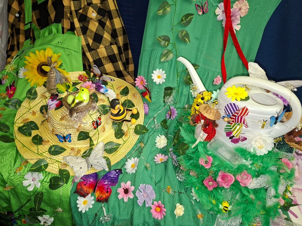 carnavalskleding, Kleding | Dames, Carnaval, Maat 46/48 (XL) of groter, Ophalen of Verzenden, Zo goed als nieuw